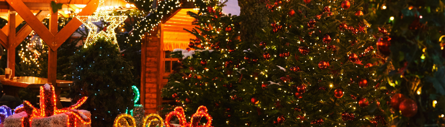 SLD-25-Mercatino-Natale-02